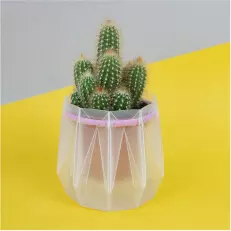 A plant pot for the 21st century