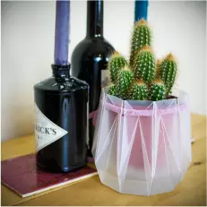 POTR Pots compliment other house hold objects