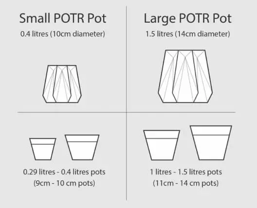Which size POTR for my house plant
